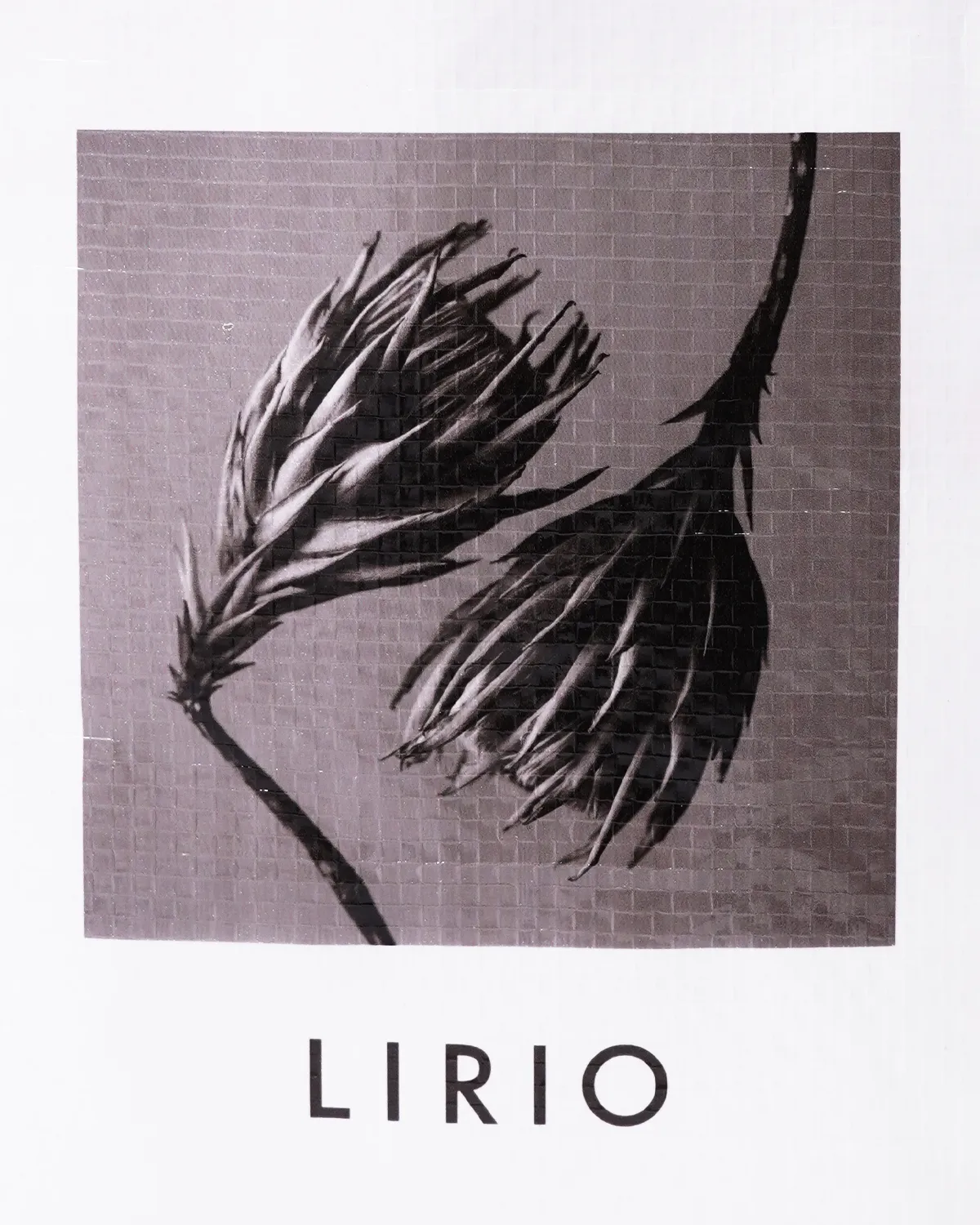 ワリフ角底バッグ_印刷