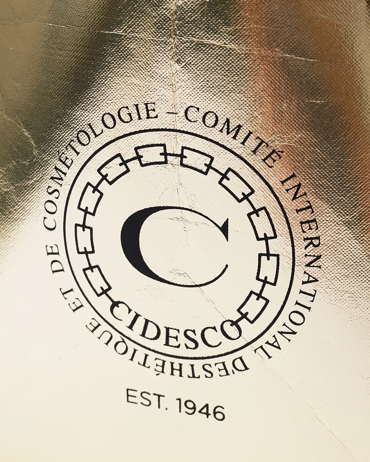 不織布PPメタリック船底バッグ_印刷